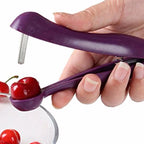 Cherry & Olive Pit Remover
