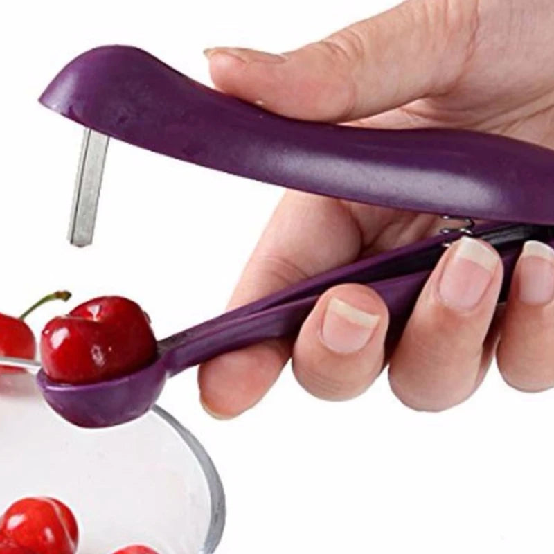 Cherry & Olive Pit Remover