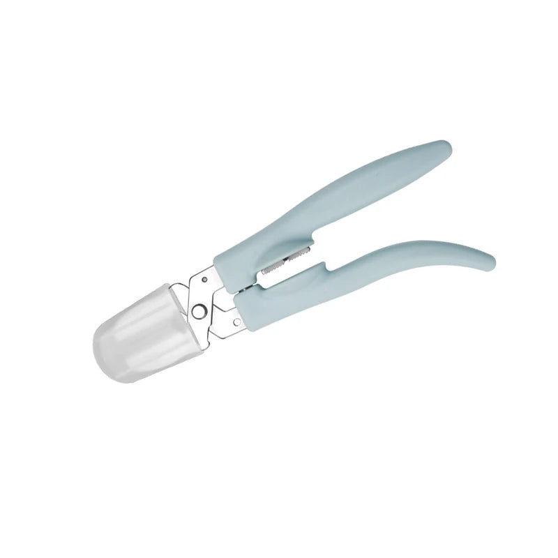 Stainless Steel Chestnut & Walnut Clip