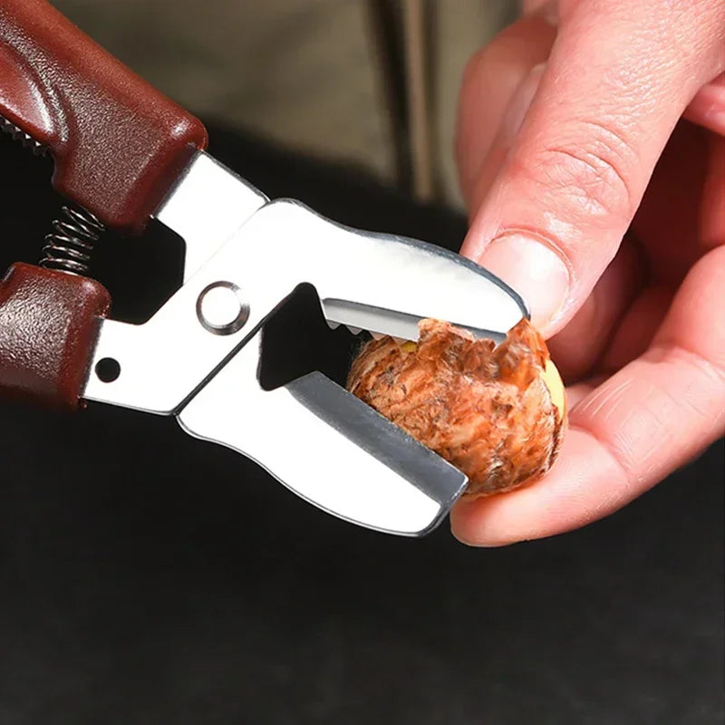 Stainless Steel Chestnut & Walnut Clip