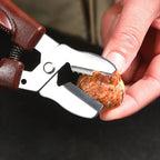 Stainless Steel Chestnut & Walnut Clip