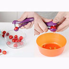 Cherry & Olive Pit Remover