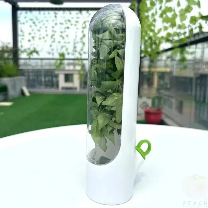 Vanilla Vegetable Fresh-Keeping Box