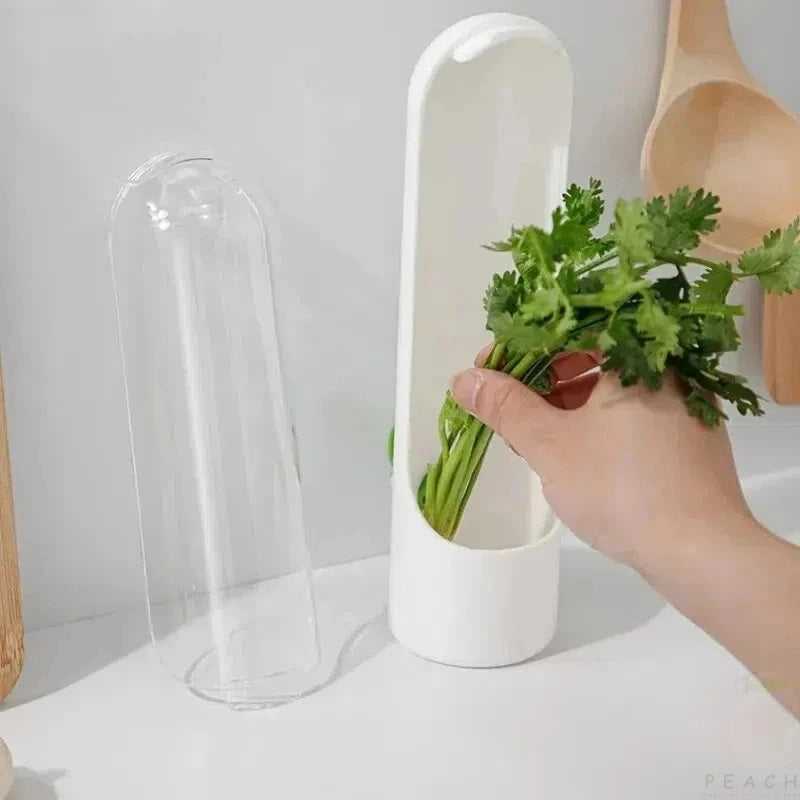 Vanilla Vegetable Fresh-Keeping Box